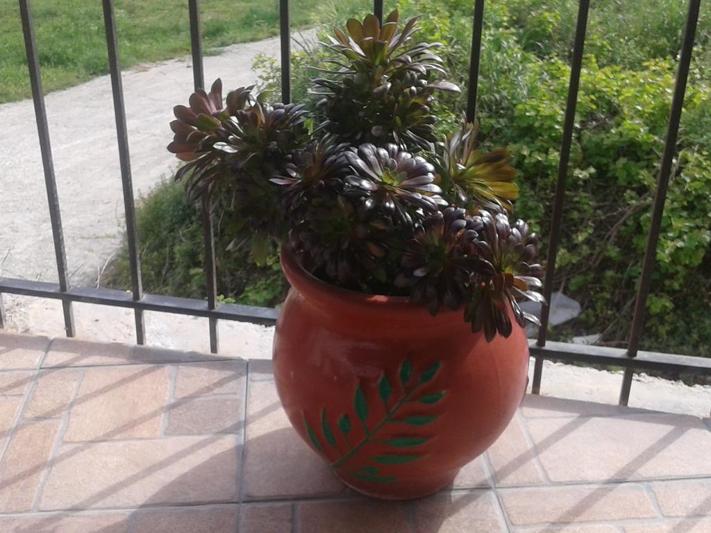 Gramvousa'S Filoxenia Apartment Kíssamos Dış mekan fotoğraf